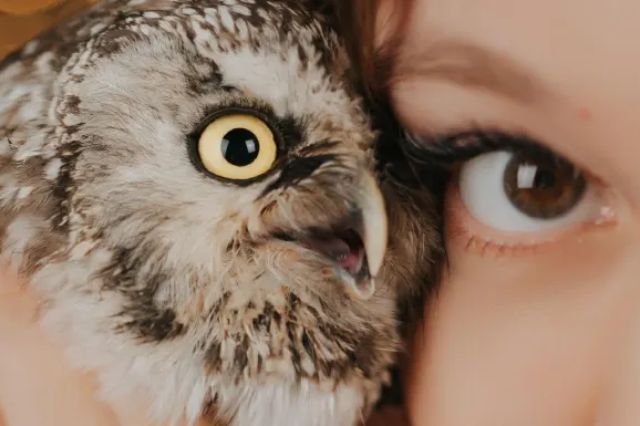 Casino Lucky Tiger Soporte